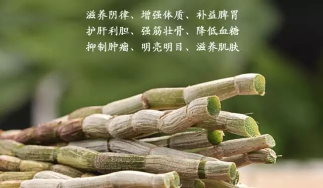 6401.webp.jpg